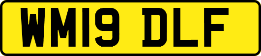 WM19DLF