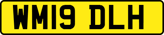 WM19DLH