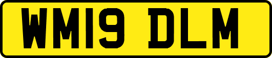 WM19DLM