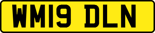 WM19DLN