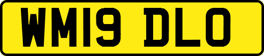 WM19DLO