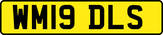 WM19DLS