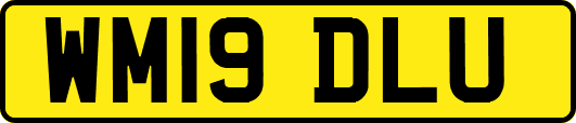 WM19DLU