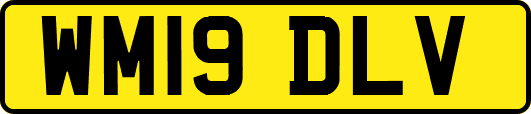 WM19DLV