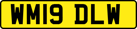 WM19DLW