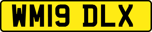 WM19DLX