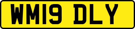 WM19DLY