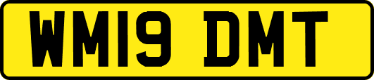 WM19DMT