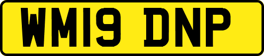 WM19DNP