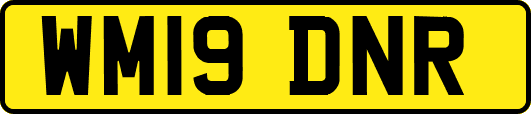 WM19DNR