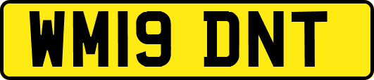 WM19DNT