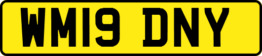 WM19DNY