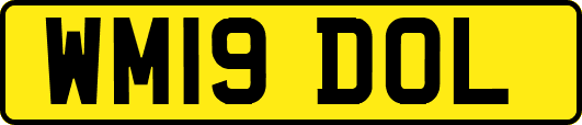 WM19DOL