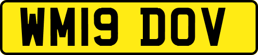 WM19DOV