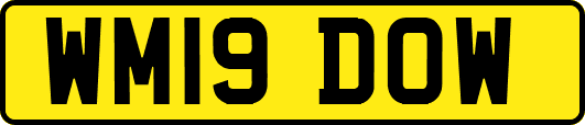 WM19DOW