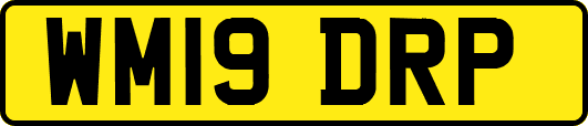 WM19DRP