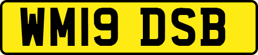 WM19DSB