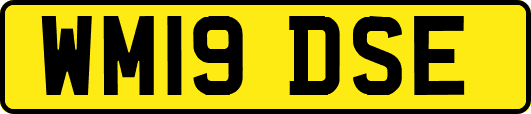 WM19DSE