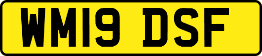 WM19DSF