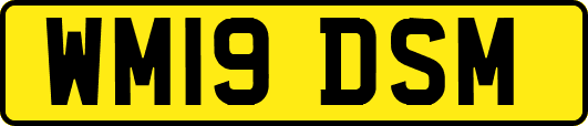 WM19DSM