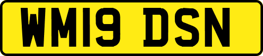 WM19DSN
