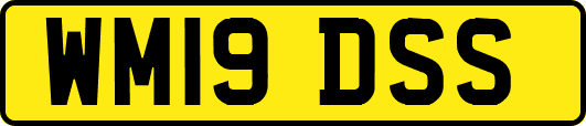 WM19DSS
