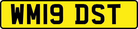 WM19DST