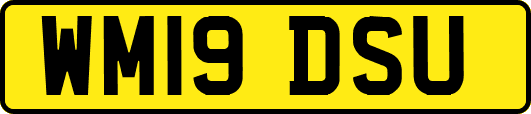 WM19DSU