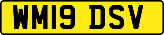 WM19DSV