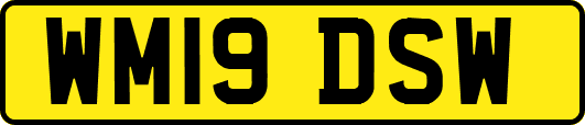 WM19DSW