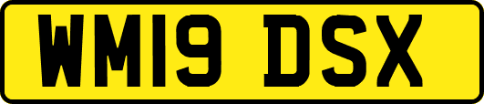 WM19DSX