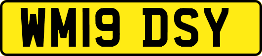 WM19DSY