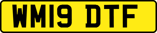 WM19DTF