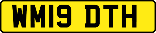 WM19DTH
