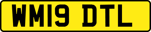 WM19DTL
