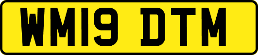 WM19DTM