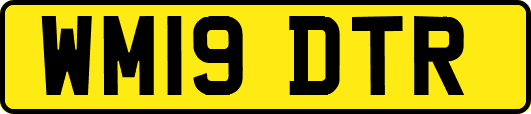 WM19DTR