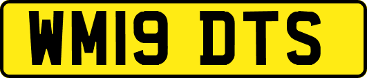 WM19DTS