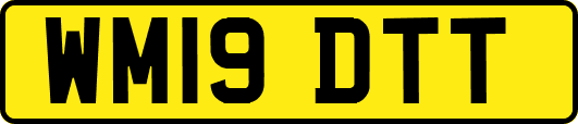 WM19DTT