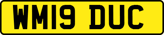 WM19DUC