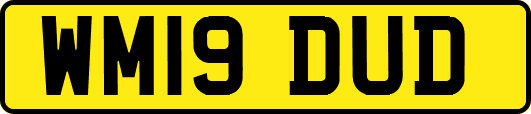 WM19DUD