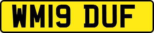 WM19DUF