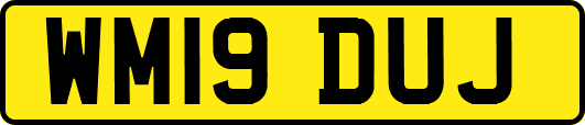 WM19DUJ