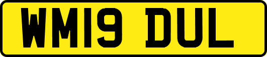 WM19DUL