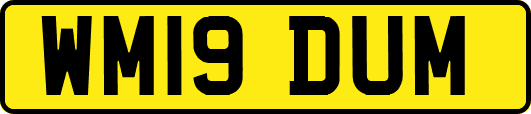 WM19DUM