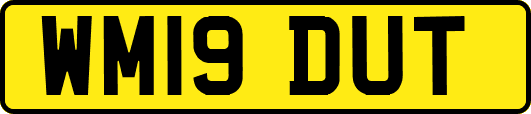 WM19DUT