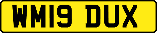 WM19DUX