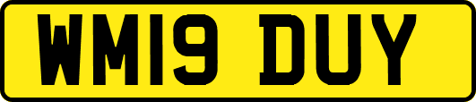 WM19DUY