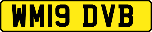 WM19DVB