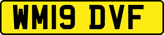 WM19DVF